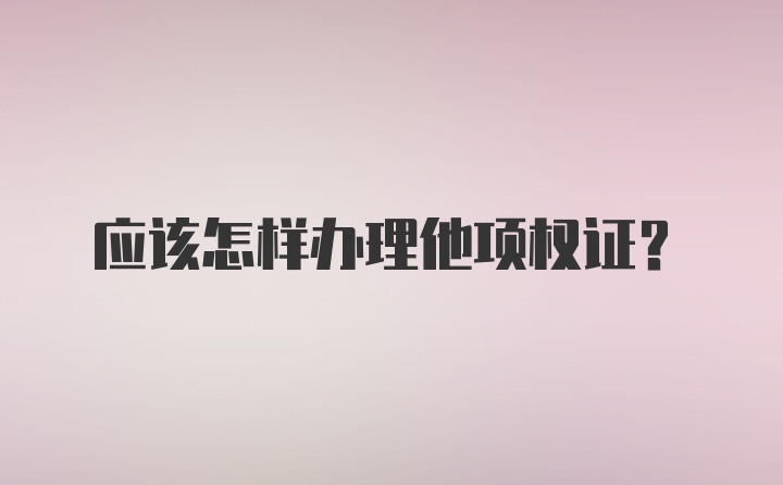 应该怎样办理他项权证？