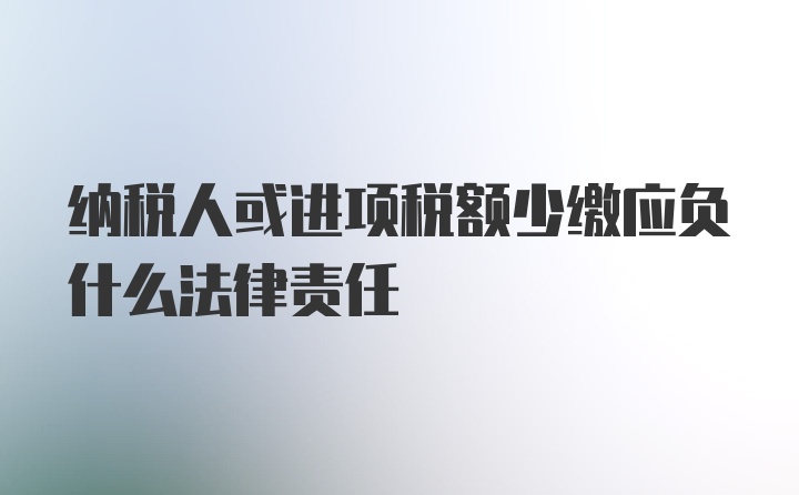 纳税人或进项税额少缴应负什么法律责任