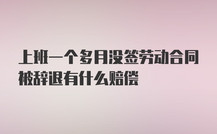 上班一个多月没签劳动合同被辞退有什么赔偿