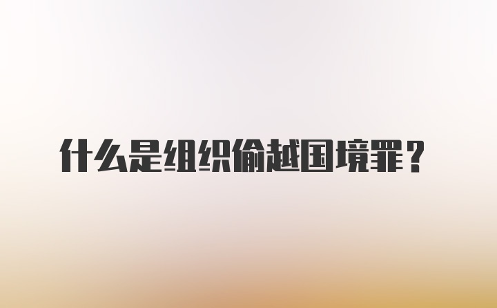 什么是组织偷越国境罪?