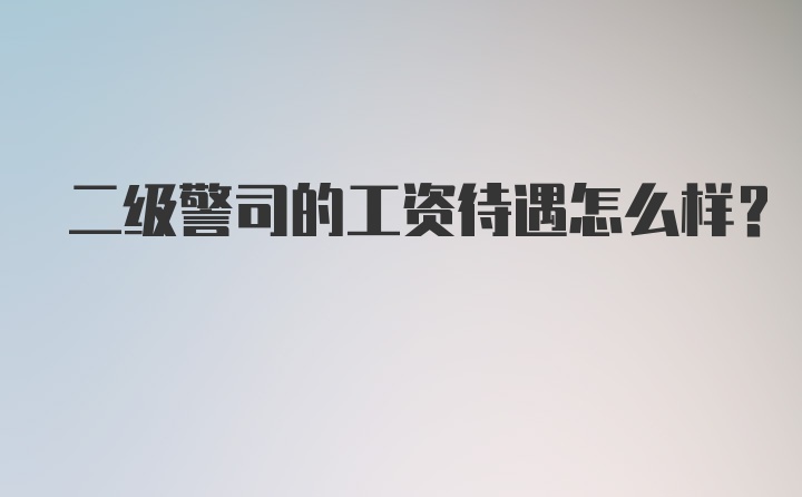 二级警司的工资待遇怎么样？