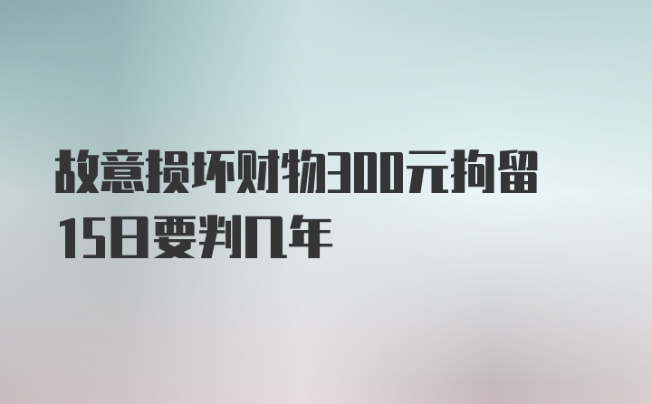 故意损坏财物300元拘留15日要判几年