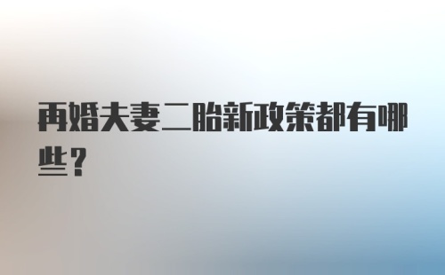 再婚夫妻二胎新政策都有哪些？