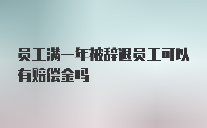 员工满一年被辞退员工可以有赔偿金吗