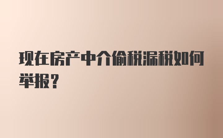 现在房产中介偷税漏税如何举报？