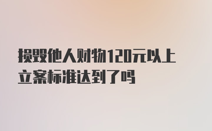 损毁他人财物120元以上立案标准达到了吗