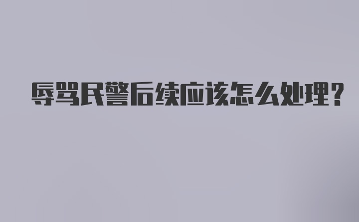 辱骂民警后续应该怎么处理？