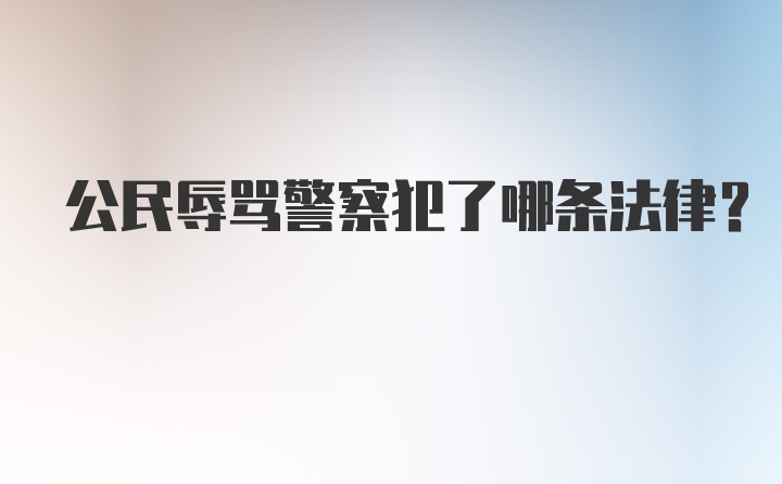 公民辱骂警察犯了哪条法律？