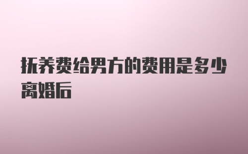 抚养费给男方的费用是多少离婚后