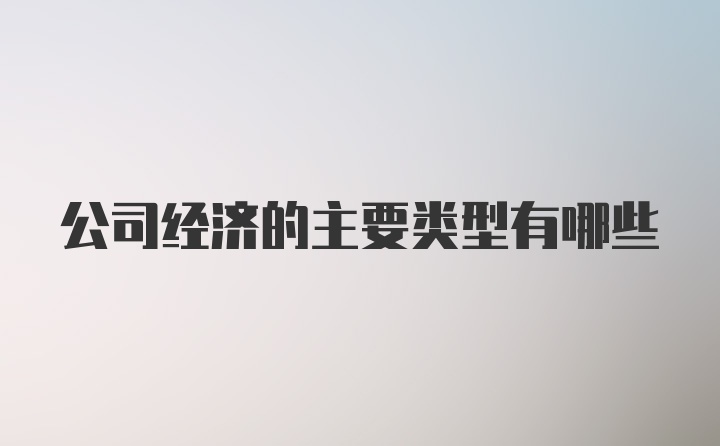 公司经济的主要类型有哪些