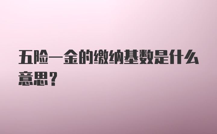 五险一金的缴纳基数是什么意思？