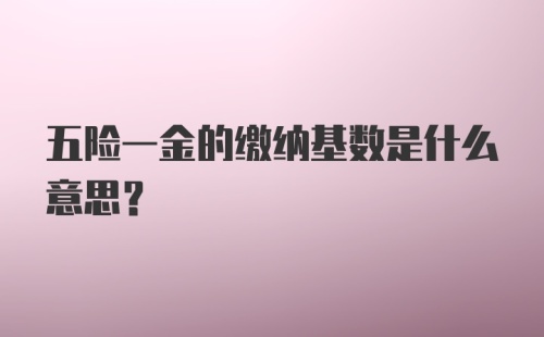 五险一金的缴纳基数是什么意思？