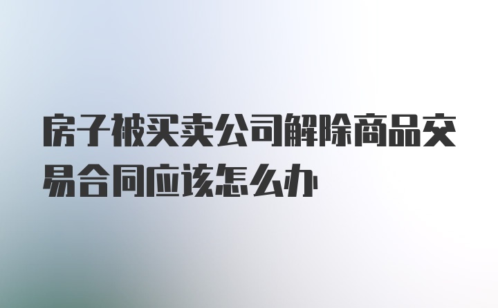 房子被买卖公司解除商品交易合同应该怎么办