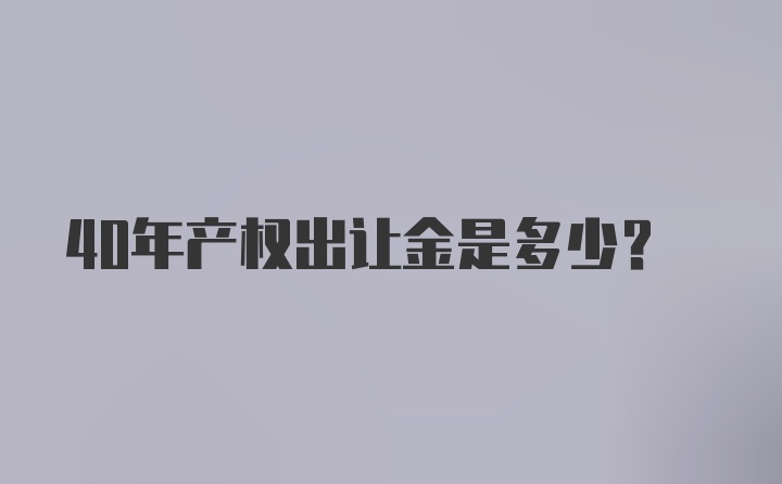 40年产权出让金是多少？