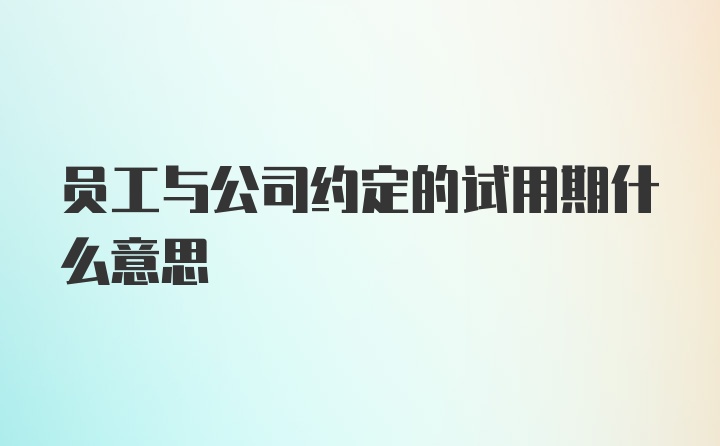 员工与公司约定的试用期什么意思