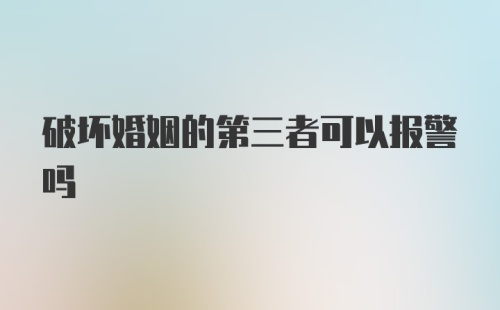 破坏婚姻的第三者可以报警吗