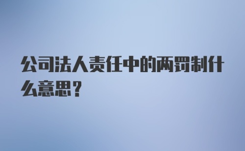 公司法人责任中的两罚制什么意思？