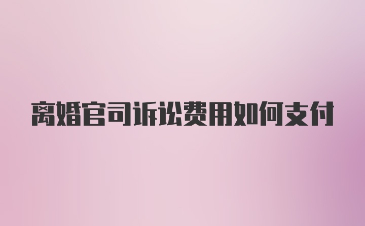 离婚官司诉讼费用如何支付