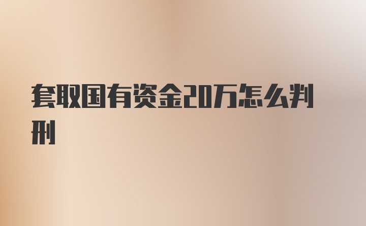 套取国有资金20万怎么判刑