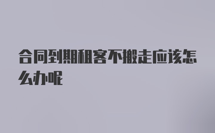 合同到期租客不搬走应该怎么办呢