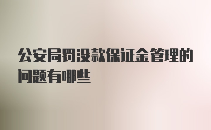 公安局罚没款保证金管理的问题有哪些