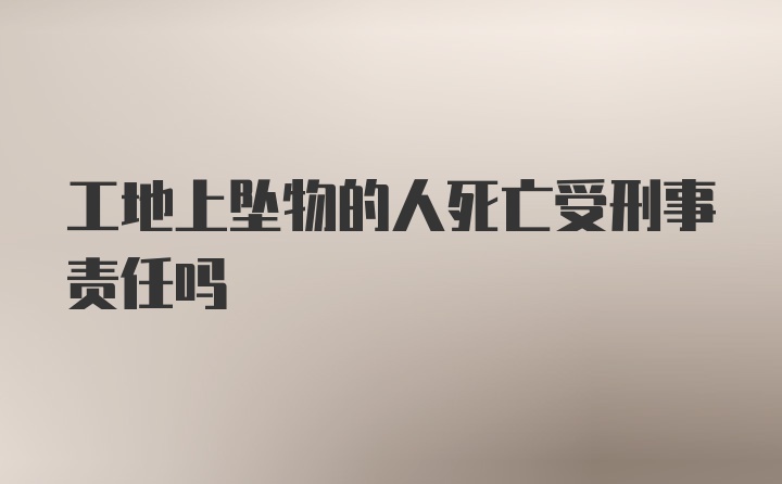 工地上坠物的人死亡受刑事责任吗