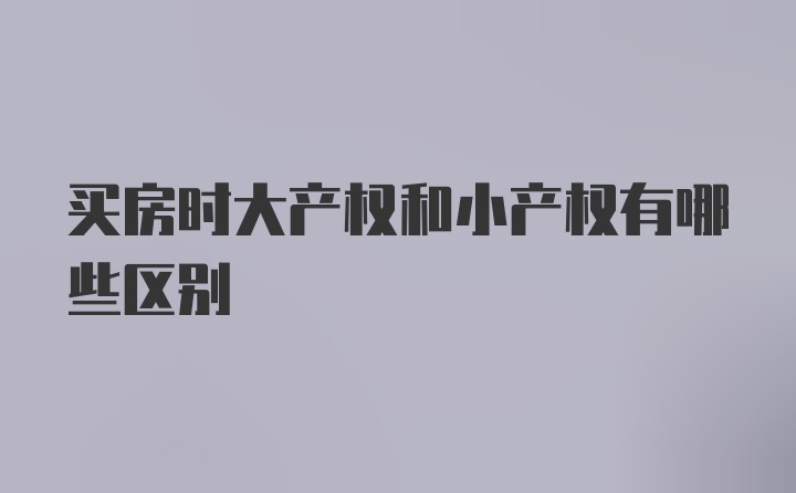 买房时大产权和小产权有哪些区别