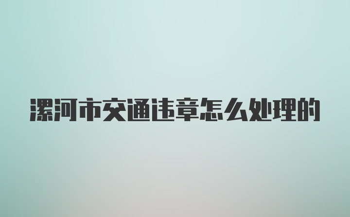 漯河市交通违章怎么处理的