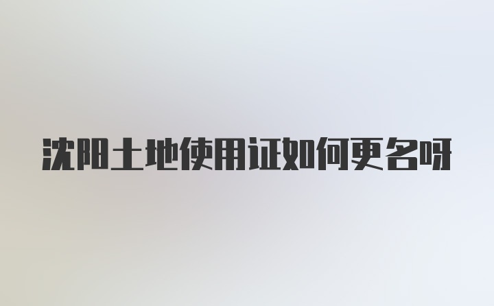 沈阳土地使用证如何更名呀