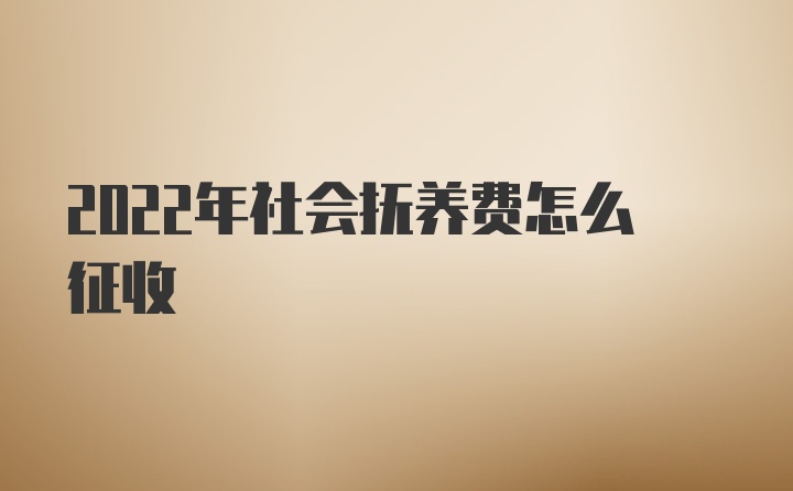 2022年社会抚养费怎么征收