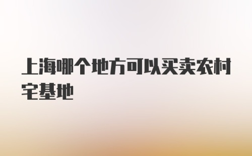 上海哪个地方可以买卖农村宅基地