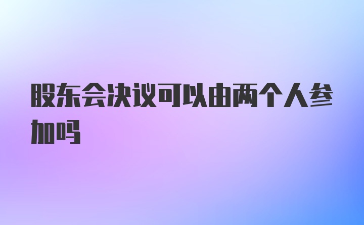 股东会决议可以由两个人参加吗