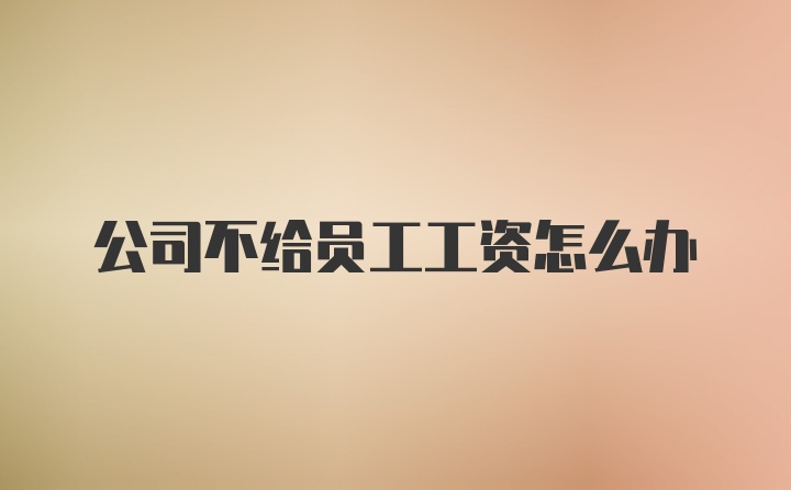 公司不给员工工资怎么办