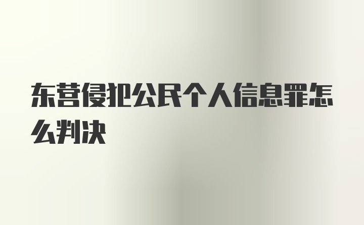 东营侵犯公民个人信息罪怎么判决