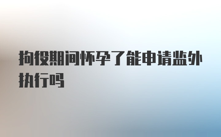 拘役期间怀孕了能申请监外执行吗