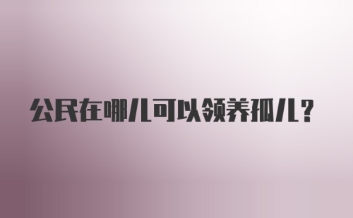 公民在哪儿可以领养孤儿？