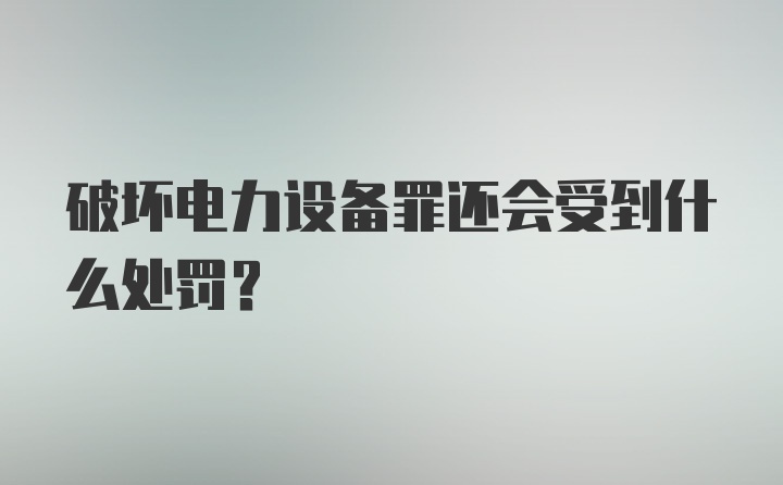 破坏电力设备罪还会受到什么处罚？