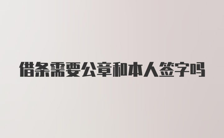 借条需要公章和本人签字吗