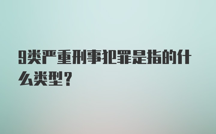 9类严重刑事犯罪是指的什么类型？