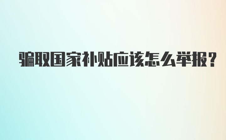 骗取国家补贴应该怎么举报？