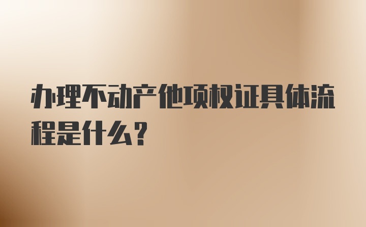 办理不动产他项权证具体流程是什么？