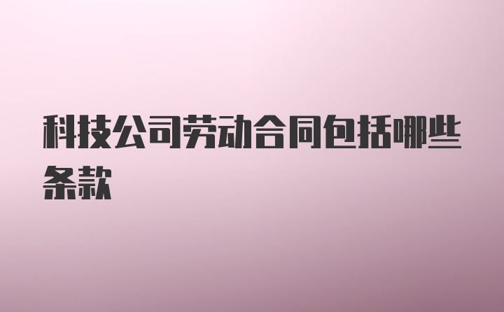 科技公司劳动合同包括哪些条款