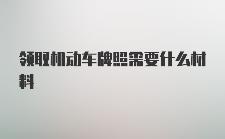 领取机动车牌照需要什么材料