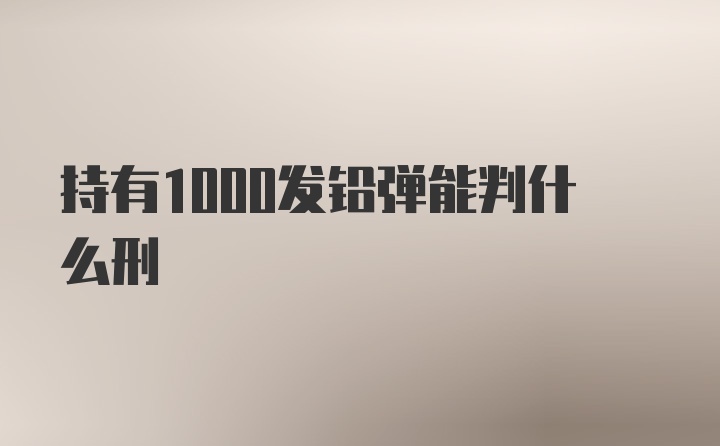 持有1000发铅弹能判什么刑