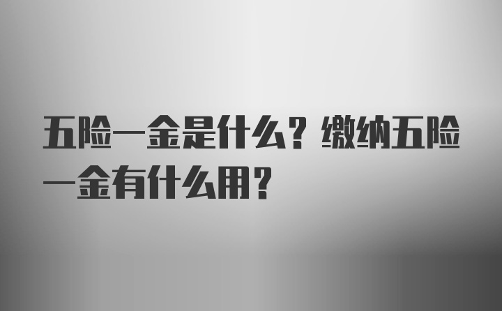 五险一金是什么？缴纳五险一金有什么用？