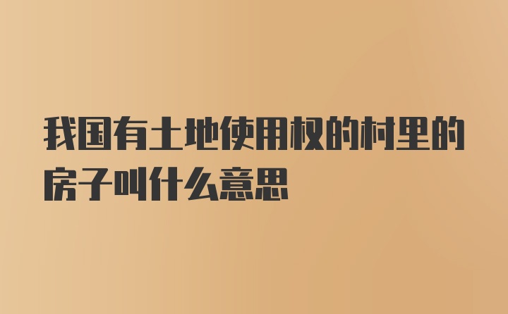 我国有土地使用权的村里的房子叫什么意思