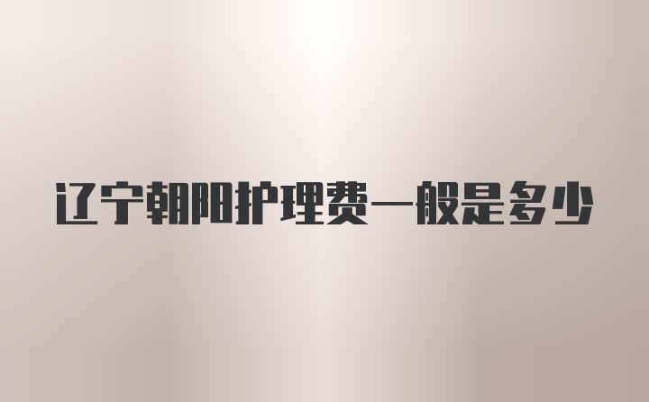辽宁朝阳护理费一般是多少