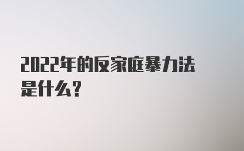 2022年的反家庭暴力法是什么？