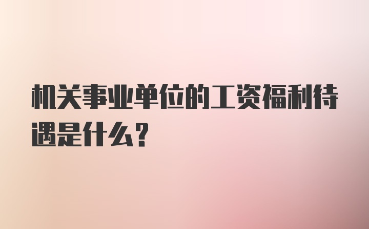 机关事业单位的工资福利待遇是什么？