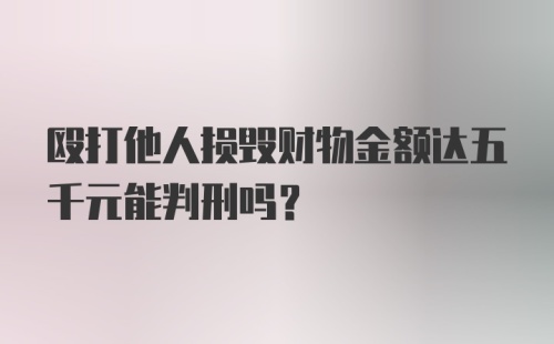 殴打他人损毁财物金额达五千元能判刑吗？